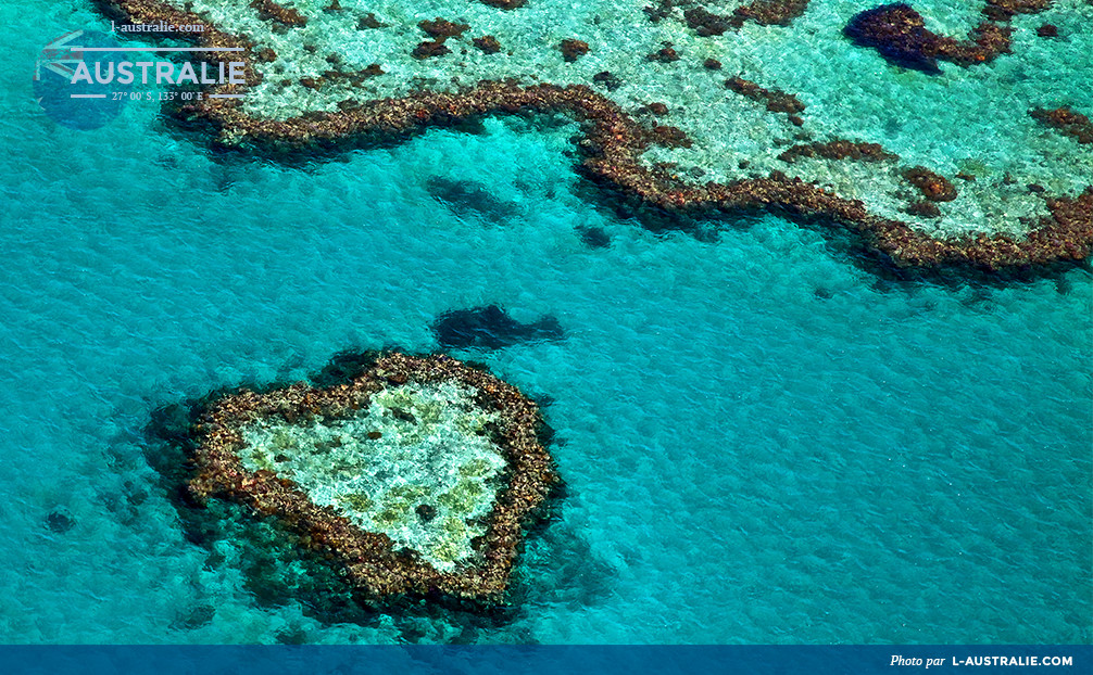 Grande barrière de corail en Australie