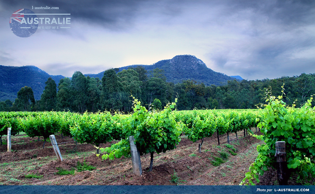 Les vignobles de Hunter Valley