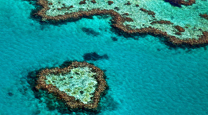 Grande barrière de corail en Australie