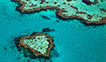 Grande barrière de corail en Australie